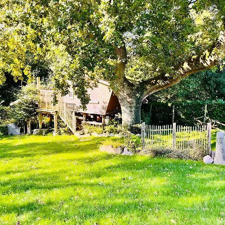 La Perchee Du Trappeur *