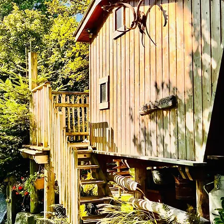 La Perchee Du Trappeur